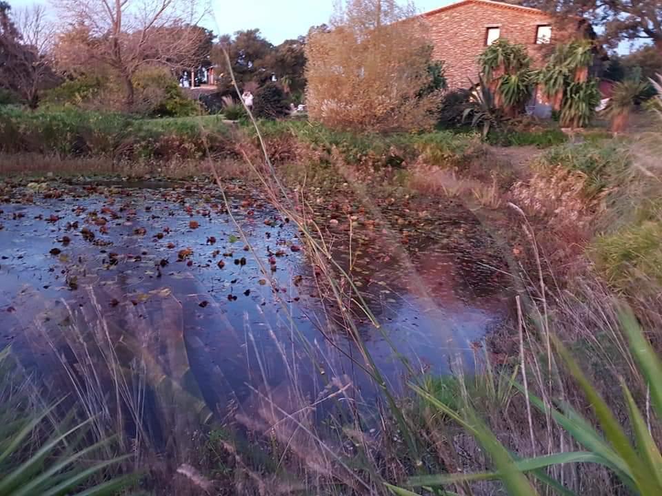 Chambre du gîte La Planète - Photo 5 - La Planète - Les Gardiens De La Terre, Sainte-Maxime